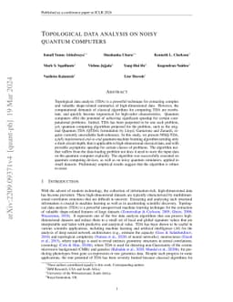 Topological data analysis on noisy quantum computers