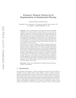 Frequency Dropout: Feature-Level Regularization via Randomized Filtering