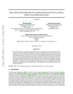 Non-Negative Matrix Factorization with Scale Data Structure Preservation