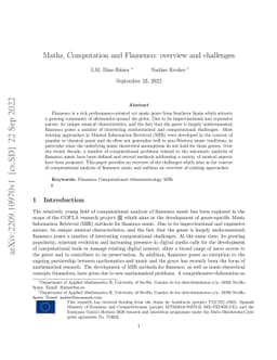 Maths, Computation and Flamenco: overview and challenges