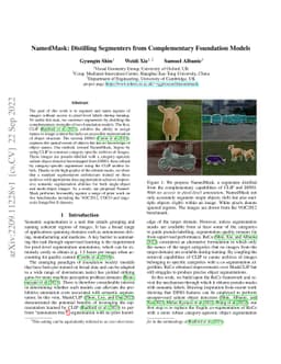 NamedMask: Distilling Segmenters from Complementary Foundation Models