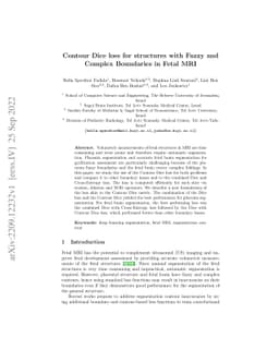 Contour Dice loss for structures with Fuzzy and Complex Boundaries in
  Fetal MRI