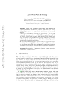 Ablation Path Saliency