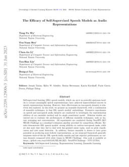 The Efficacy of Self-Supervised Speech Models for Audio Representations