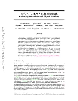 EPIC-KITCHENS VISOR Benchmark: VIdeo Segmentations and Object Relations