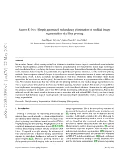 Sauron U-Net: Simple automated redundancy elimination in medical image
  segmentation via filter pruning