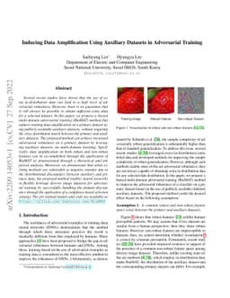 Inducing Data Amplification Using Auxiliary Datasets in Adversarial
  Training