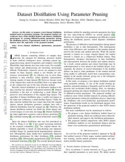 Dataset Distillation Using Parameter Pruning