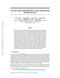 Towards Lightweight Black-Box Attacks against Deep Neural Networks