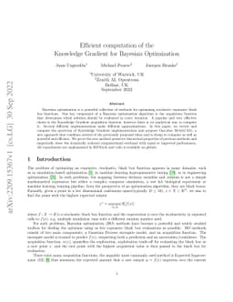 Efficient computation of the Knowledge Gradient for Bayesian
  Optimization