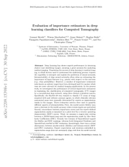 Evaluation of importance estimators in deep learning classifiers for
  Computed Tomography