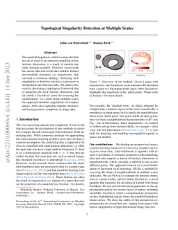 Topological Singularity Detection at Multiple Scales