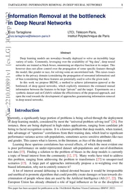 Information Removal at the bottleneck in Deep Neural Networks
