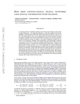 How deep convolutional neural networks lose spatial information with
  training