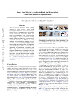 Supervised Metric Learning to Rank for Retrieval via Contextual
  Similarity Optimization