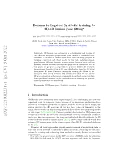 Decanus to Legatus: Synthetic training for 2D-3D human pose lifting