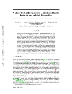 A Closer Look at Robustness to L-infinity and Spatial Perturbations and
  their Composition