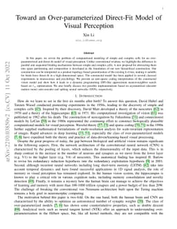Toward an Over-parameterized Direct-Fit Model of Visual Perception
