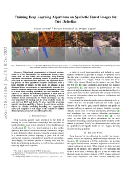 Training Deep Learning Algorithms on Synthetic Forest Images for Tree
  Detection