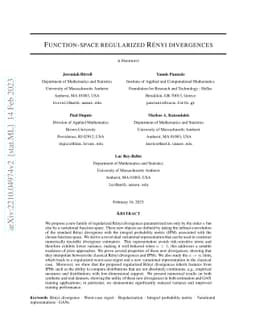 Function-space regularized Rényi divergences