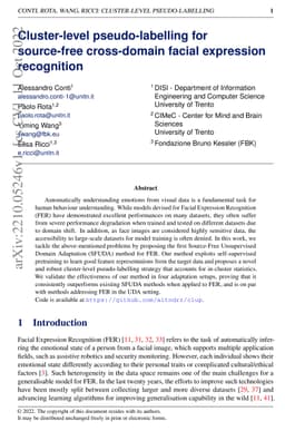 Cluster-level pseudo-labelling for source-free cross-domain facial
  expression recognition
