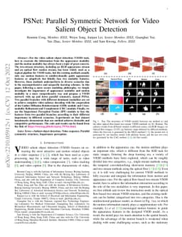 PSNet: Parallel Symmetric Network for Video Salient Object Detection