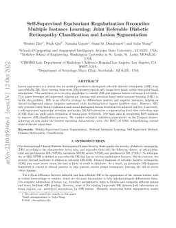 Self-Supervised Equivariant Regularization Reconciles Multiple Instance
  Learning: Joint Referable Diabetic Retinopathy Classification and Lesion
  Segmentation