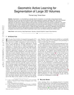 Geometric Active Learning for Segmentation of Large 3D Volumes