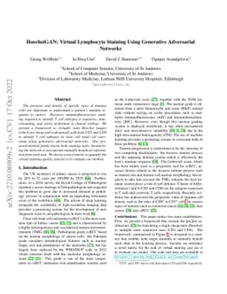 HoechstGAN: Virtual Lymphocyte Staining Using Generative Adversarial
  Networks