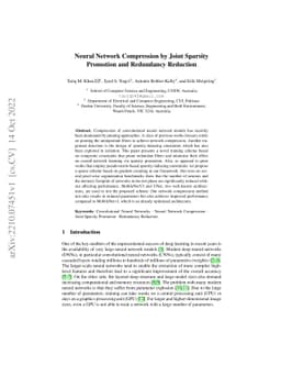 Neural Network Compression by Joint Sparsity Promotion and Redundancy
  Reduction