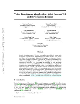 Vision Transformer Visualization: What Neurons Tell and How Neurons
  Behave?