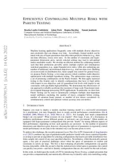 Efficiently Controlling Multiple Risks with Pareto Testing