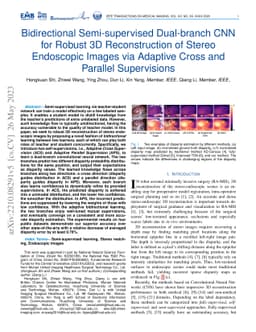 Bidirectional Semi-supervised Dual-branch CNN for Robust 3D
  Reconstruction of Stereo Endoscopic Images via Adaptive Cross and Parallel
  Supervisions