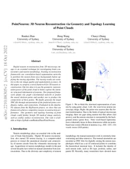 PointNeuron: 3D Neuron Reconstruction via Geometry and Topology Learning
  of Point Clouds