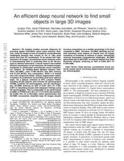 An efficient deep neural network to find small objects in large 3D
  images