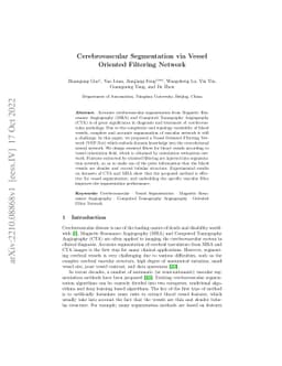 Cerebrovascular Segmentation via Vessel Oriented Filtering Network