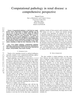 Computational pathology in renal disease: a comprehensive perspective