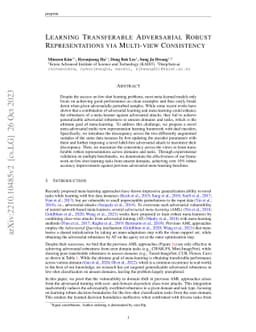 Learning Transferable Adversarial Robust Representations via Multi-view
  Consistency