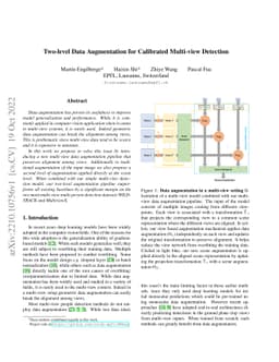 Two-level Data Augmentation for Calibrated Multi-view Detection