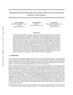Window-Based Distribution Shift Detection for Deep Neural Networks