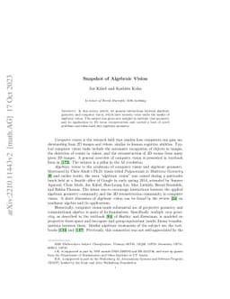 Snapshot of Algebraic Vision