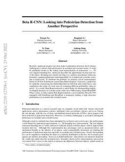 Beta R-CNN: Looking into Pedestrian Detection from Another Perspective
