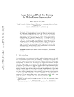 Large Batch and Patch Size Training for Medical Image Segmentation