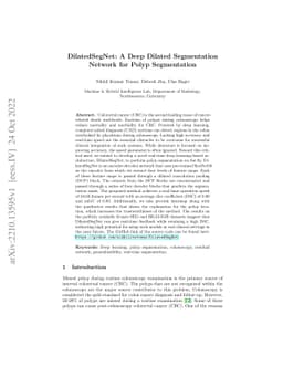 DilatedSegNet: A Deep Dilated Segmentation Network for Polyp
  Segmentation