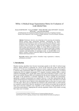 MISm: A Medical Image Segmentation Metric for Evaluation of weak labeled
  Data