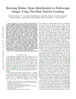 Boosting Kidney Stone Identification in Endoscopic Images Using Two-Step
  Transfer Learning