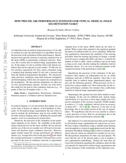 How precise are performance estimates for typical medical image
  segmentation tasks?