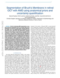 Segmentation of Bruch's Membrane in retinal OCT with AMD using
  anatomical priors and uncertainty quantification