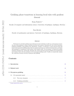 Grokking phase transitions in learning local rules with gradient descent