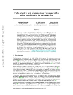 Fully-attentive and interpretable: vision and video vision transformers
  for pain detection